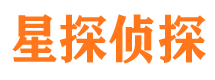 鱼峰市侦探调查公司